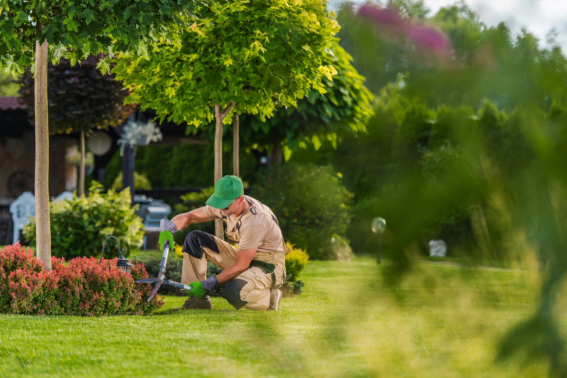 Landscaping Work in Dubai South