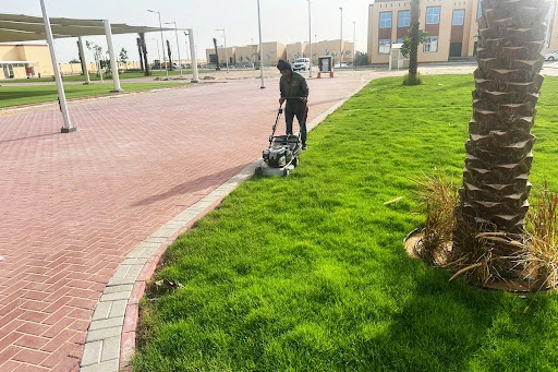 Landscaping Work in Dubai South