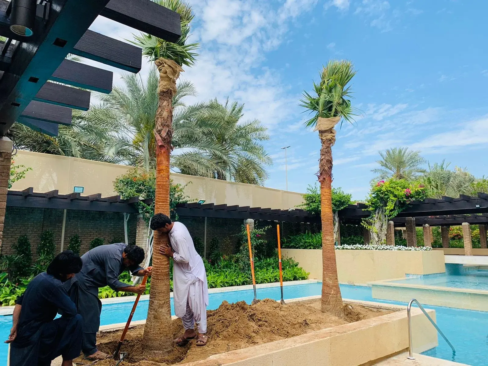 Landscaping Service in Dubai Internet City