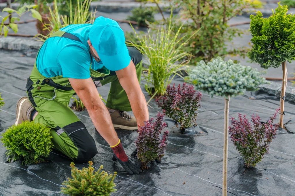 Landscaping Work Service in DAMAC Hills Dubai – The Maintenance Work